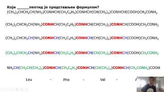 aminokiseline  kondenzacione forumule [upl. by Zanze517]