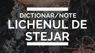 dictionar  Lichenul de stejar ca nota in parfumerie [upl. by Duffie]