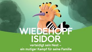 Wiedehopf Isidor verteidigt sein Nest  BeeWild ArtenschutzGeschichte [upl. by Eneleahcim]