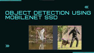 Object Detection using MobileNet SSD [upl. by Animehliw]