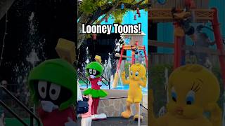 Marvin the Martian and Tweety Pie shorts characters themepark [upl. by Berner209]