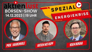 ⚠️ Die große ENERGIEKRISE Prof Vahrenholt Kolja v Aktien mit Kopf amp Koen Boriau 7C Solarparken [upl. by Greeson]