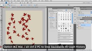 Brushes 5  Dual Brush  Photoshop Tutorial [upl. by Harahs]