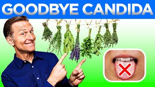 Say Goodbye to Candida The Best Ways to Cure It Permanently [upl. by Aleakcim]