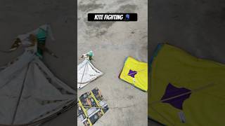 Kite fighting 2024🪁shorts short viral manjha kite youtube 2024 youtuber trend new jhansi [upl. by Bridie]