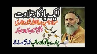 Syed AttaUllah Shah Bukhari  khutba juma [upl. by Alikee]