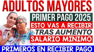 💥LO DEBES MIRAR ADULTOS MAYORES EL PRÓXIMO AUMENTO DE LAS PENSIONES 2025 BENEFICIARÁ A TODOS💥 [upl. by Arretal]