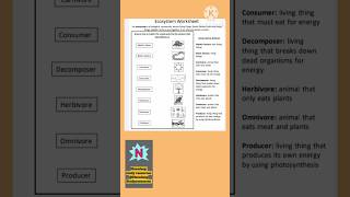 ecosystem  biotic and abiotic components worksheet and answers biology DeepuStudyresources [upl. by Sherburn398]