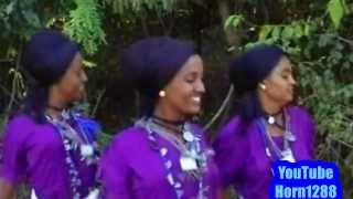 Ethiopian Traditional Music  ዋኘው አሸናፊ  ጅንኑ ጎጃሜ [upl. by Shaff]