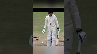 Rarest Moments In Cricket History Ever [upl. by Luckett10]