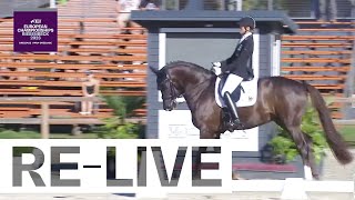 RELIVE  Team Grade V  FEI Para Dressage European Championships 2023 [upl. by Herwig]