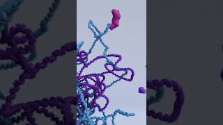 Are mutations good or bad genetics animation geneticdiversity facts biology mutation [upl. by Ewens]