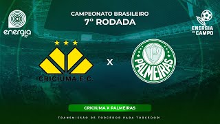 CRICIUMA X PALMEIRAS  02062024  BRASILEIRÃO  AO VIVO [upl. by Euhsoj196]