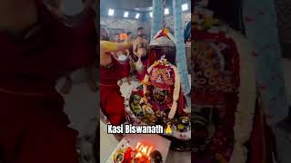 Sananda Manandavane Vasantm  Kashi Vishvnath Shiv Mantra 🔱 kashivishwanath tanvisenjaliya [upl. by Erehc904]