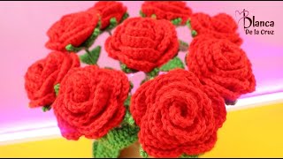 ¡Wow💯🧶¡TEJIDO DE ROSAS A CROCHET PRINCIPIANTE ¡CROCHET FACIL Y RAPIDO crochet knitting handmade [upl. by Conal912]