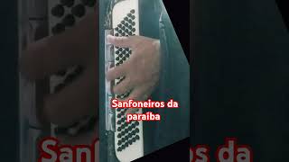 Sanfoneiros no YouTube [upl. by Sacken873]