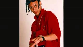 Red Rat  Shelly Anne bam bam riddimlowmp4 [upl. by Almallah]