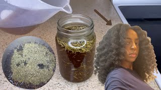 This Tea Rinse Will Have Your Hair Growing Like CRAZY  For Hair thickness Hair Loss amp Grey Hair [upl. by Tessa]