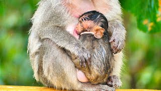 Poor Mother Sitting Under The Rainfalls With Hugging Baby With Pithiness [upl. by Adrian104]