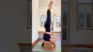 TRIPOD YOGA POSE  FOR BEGINNERS  WITH YOGA BLOCKS SUPPORT mohrayogalifestyle youtube yoga [upl. by Weasner868]