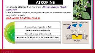 Anticholinergic drugs [upl. by Alberik]