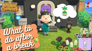 What to do When Coming Back to Animal Crossing After a Break [upl. by Ronaele]