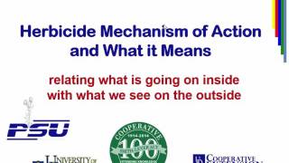 Hebicide Mechanism of action and What it Means [upl. by Eigram]