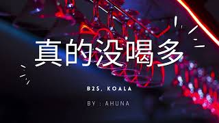 Zhen De Mei He Duo 真的没喝多B2SKOALA lyricsPinyin [upl. by Amalia]