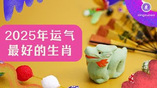 2025运气最好的生肖 🐷2025年哪些生肖运势最好生肖运势 2025运势 运势 [upl. by Bautista]