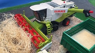 Videos for children  harvest time with BRUDER CLAAS combine harvester  AGRICULTURE shorts [upl. by Yldarb]