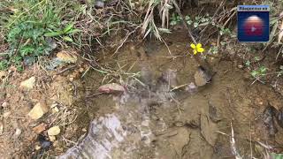 Nacimiento de agua mira como sale el agua en este lugar [upl. by Anale]