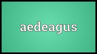 Aedeagus Meaning [upl. by Moorefield]