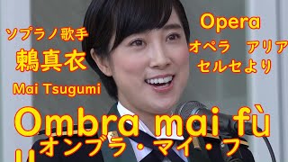 鶫真衣 オンブラ・マイ・フ Ombra mai fù 歌詞字幕付き ヘンデル作曲 オペラ セルセより 第1幕冒頭のアリア。プラタナスの木蔭への 愛を歌ったもの [upl. by Tuinenga]