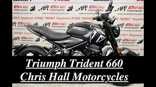 2023 Triumph Trident 660 chrishallmotorcycles motorcycles triumph [upl. by Vada537]