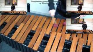 AVivaldi  SummerStorm III mov by Miroslav Dimov on Marimba [upl. by Theodosia]