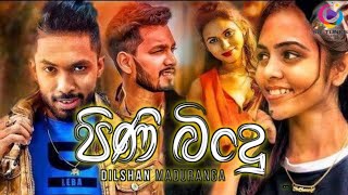 Pini Bindu පිණි බිංදු  Dilshan Maduranga New Song 2024  Sanda Nathi Wu Kalu Ahasai [upl. by Achorn]