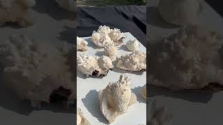 mordenite minerals crystals apophyllite zeolite geology zeolites stilbite gems crystal [upl. by Macri]