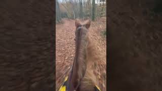 The best trail ride from Sunday❤️ [upl. by Euqinimod]