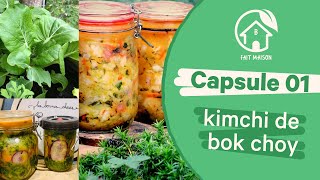 Comment faire un kimchi de bokchoy  Capsule 01 [upl. by Gambrell236]