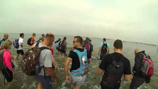 Wadlopen HolwerdAmeland 2014 [upl. by Nanon]