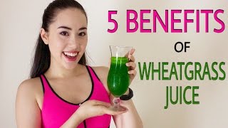 🌿 WHEATGRASS THE MIRACLE SUPERFOOD  Why We All Need To Drink Wheatgrass Juice Daily ☀️ [upl. by Hsejar]