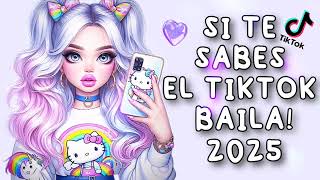 SI TE SABES EL TIKTOK BAILA  2024 [upl. by Tertius]