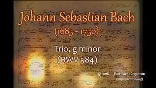 Johann Sebastian Bach Trio g minor BWV 584 [upl. by Onez]