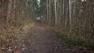 Stille Orte in Würzburg  Erlabrunn [upl. by Rubi]