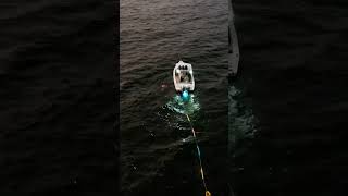 A world record attempt for the books to swim from Tobago to Trinidad 🏊‍♂️ swimming [upl. by Peltz]