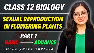 Sexual Reproduction in Flowering Plants  Class 12 Biology Chapter 1 One Shot Part 1  CBSE  NEET [upl. by Vanhook]