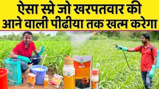 खरपतवार का 100 नियंत्रण  BEST CORN HERBICIDE SPRAY  LAUDIS  USE amp DOSE PER ACRE  Indian Farmer [upl. by Rahal405]