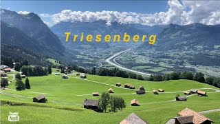 Stunning View 😍  Triesenberg  Liechtenstein 🇱🇮 [upl. by Neelyt]