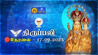 🔴 LIVE  Holy Mass in Tamil  17th September 2024  Annai Vailankanni Shrine  Besant Nagar Annai [upl. by Yenaffit]