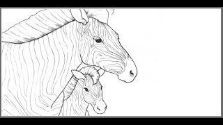 Free Coloring eBook  Endangered Animals [upl. by Atsedom772]